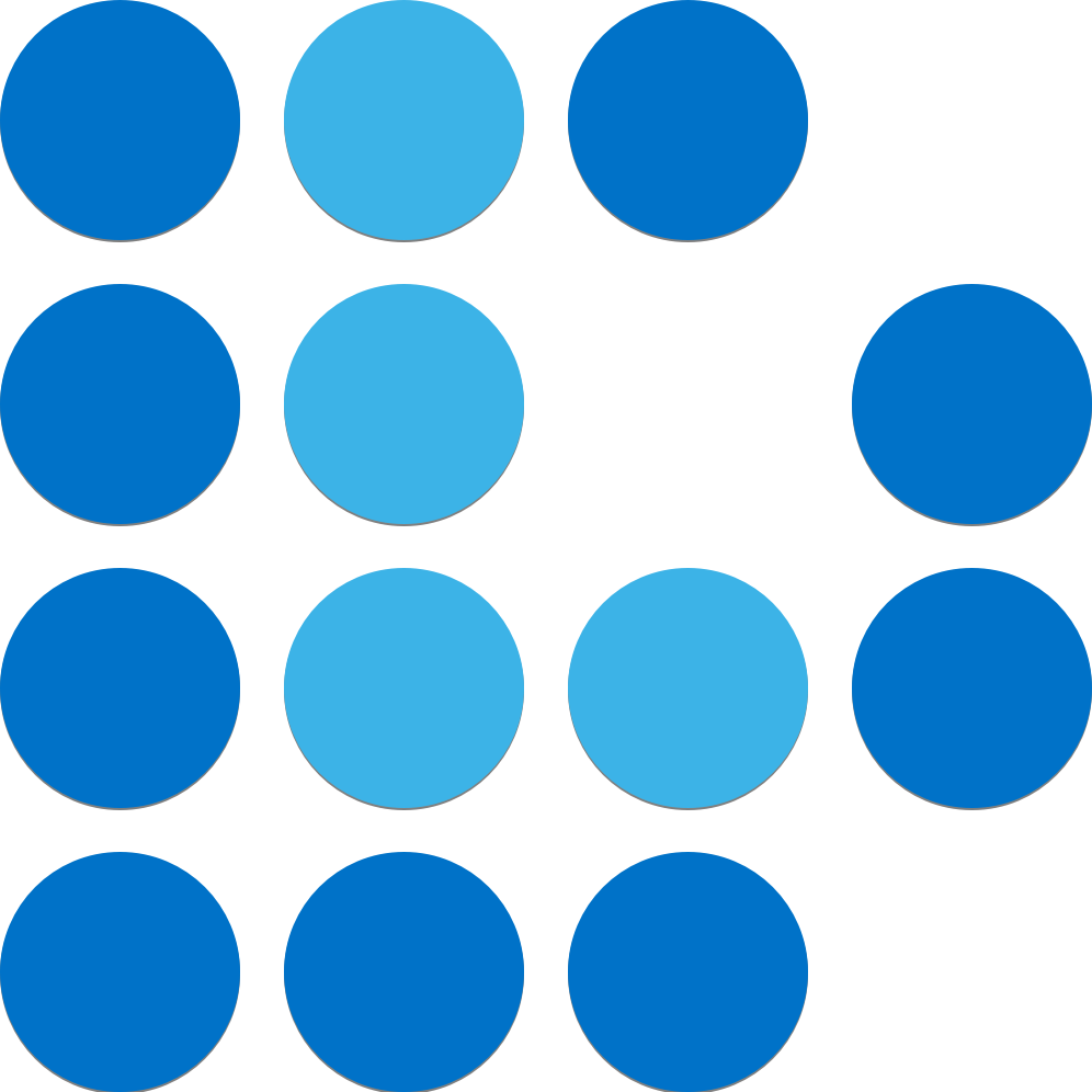 Slalom Decision Lab logo